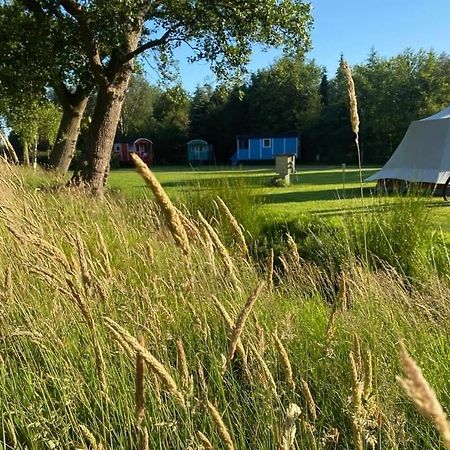 Pipowagens Bij Pannenkoekenrestaurant & Camping De Koppenjan 'Een Uniek Verblijf Met Kinderspeelboerderij' Jubbega-Schurega Exteriör bild