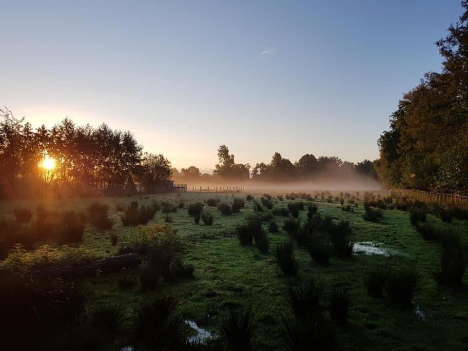 Pipowagens Bij Pannenkoekenrestaurant & Camping De Koppenjan 'Een Uniek Verblijf Met Kinderspeelboerderij' Jubbega-Schurega Exteriör bild