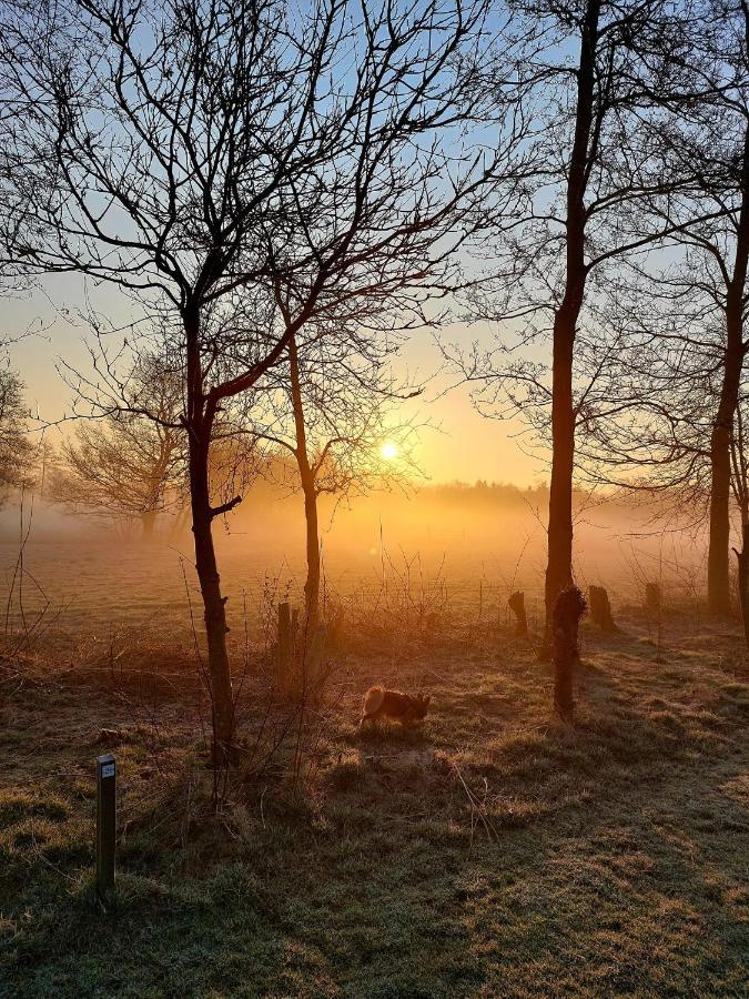 Pipowagens Bij Pannenkoekenrestaurant & Camping De Koppenjan 'Een Uniek Verblijf Met Kinderspeelboerderij' Jubbega-Schurega Exteriör bild