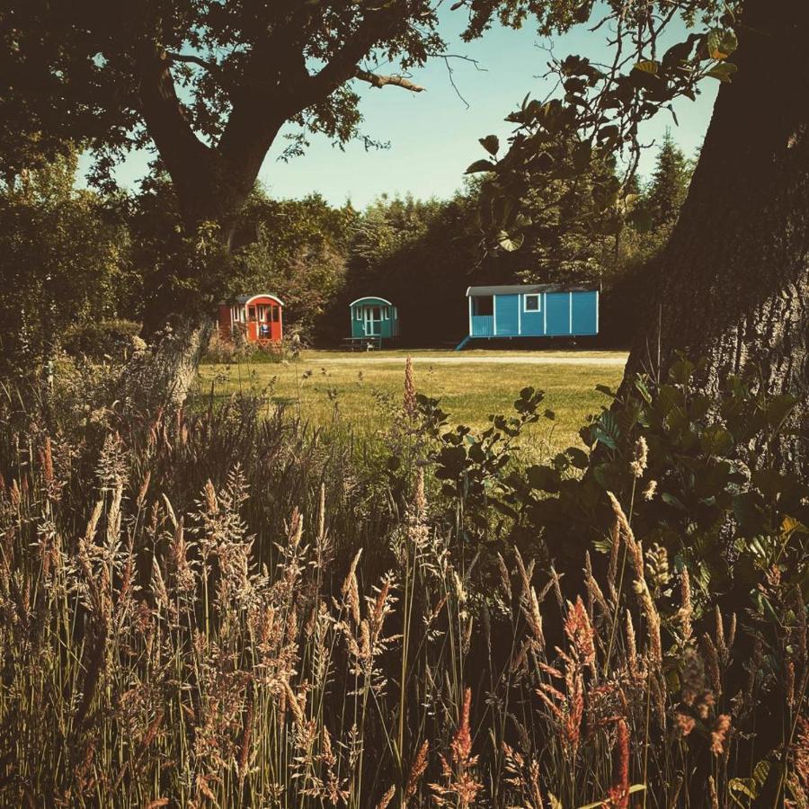 Pipowagens Bij Pannenkoekenrestaurant & Camping De Koppenjan 'Een Uniek Verblijf Met Kinderspeelboerderij' Jubbega-Schurega Exteriör bild