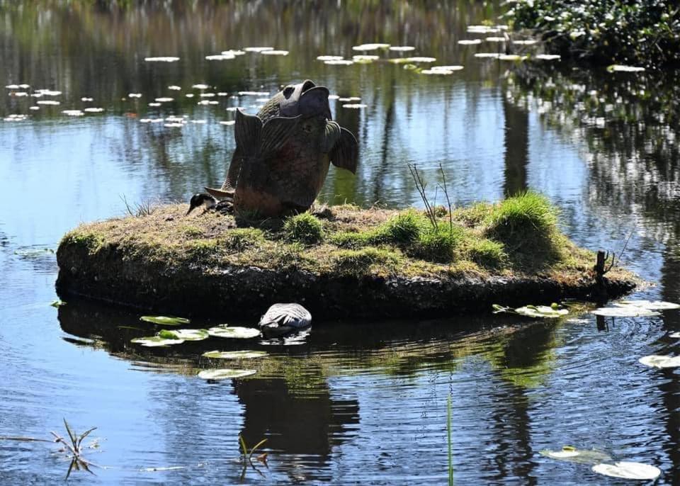 Pipowagens Bij Pannenkoekenrestaurant & Camping De Koppenjan 'Een Uniek Verblijf Met Kinderspeelboerderij' Jubbega-Schurega Exteriör bild