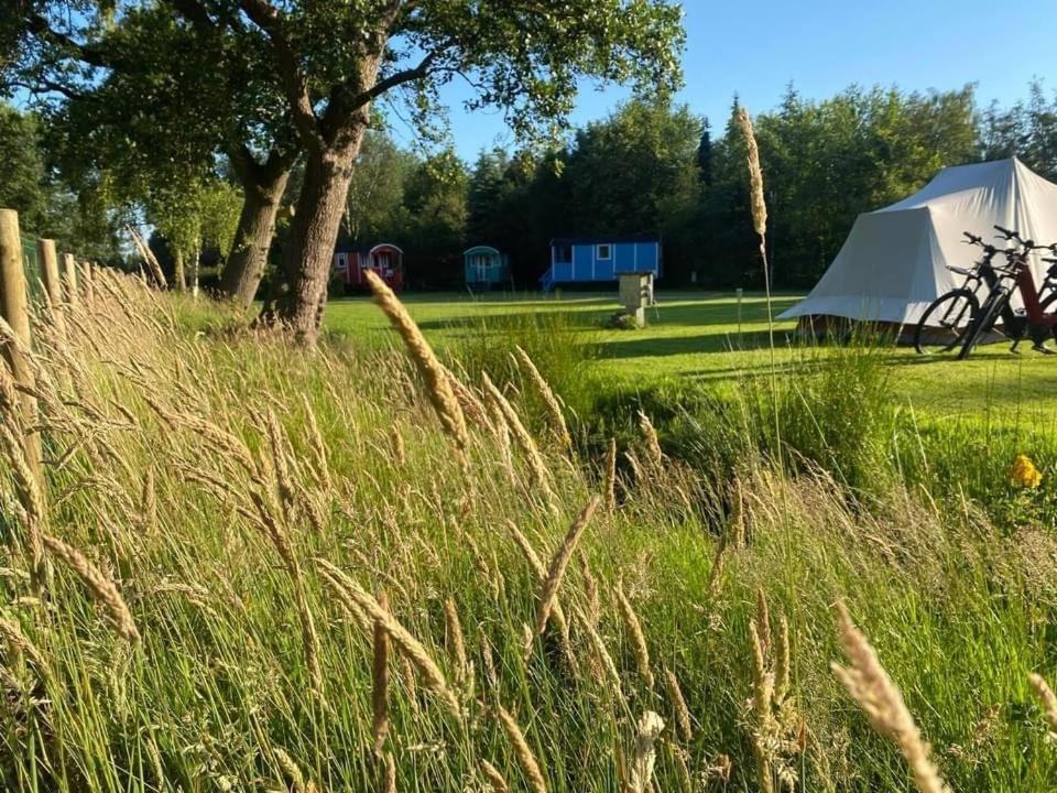 Pipowagens Bij Pannenkoekenrestaurant & Camping De Koppenjan 'Een Uniek Verblijf Met Kinderspeelboerderij' Jubbega-Schurega Exteriör bild